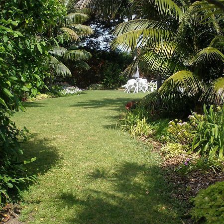 破碎的榕树公寓 Lord Howe Island 外观 照片